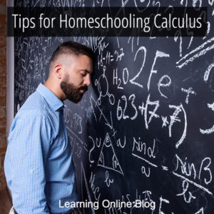 Teacher at chalkboard - Tips for Homeschooling Calculus